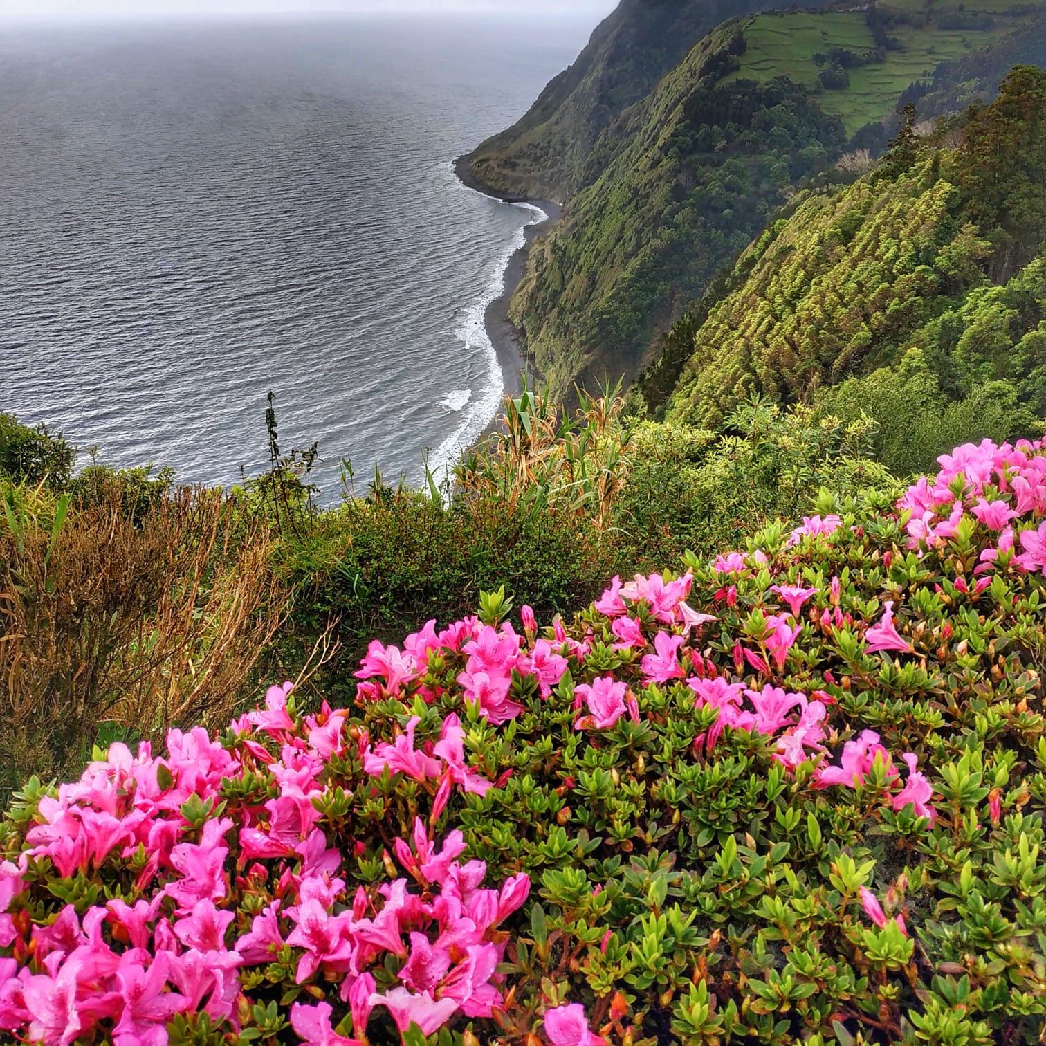 Paisaje de Nordeste — Isla de São Miguel Azores