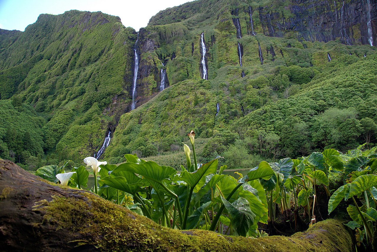 Cascadas de Poço da Ribeira do Ferreiro rodeadas de vegetación en Flores Azores