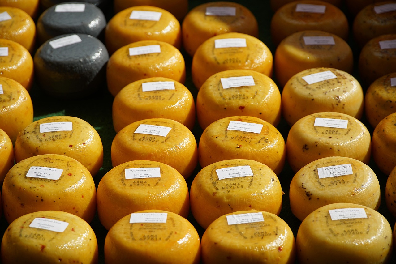 Taste São Jorge cheese in the Azores Sliced São Jorge cheese ready for tasting