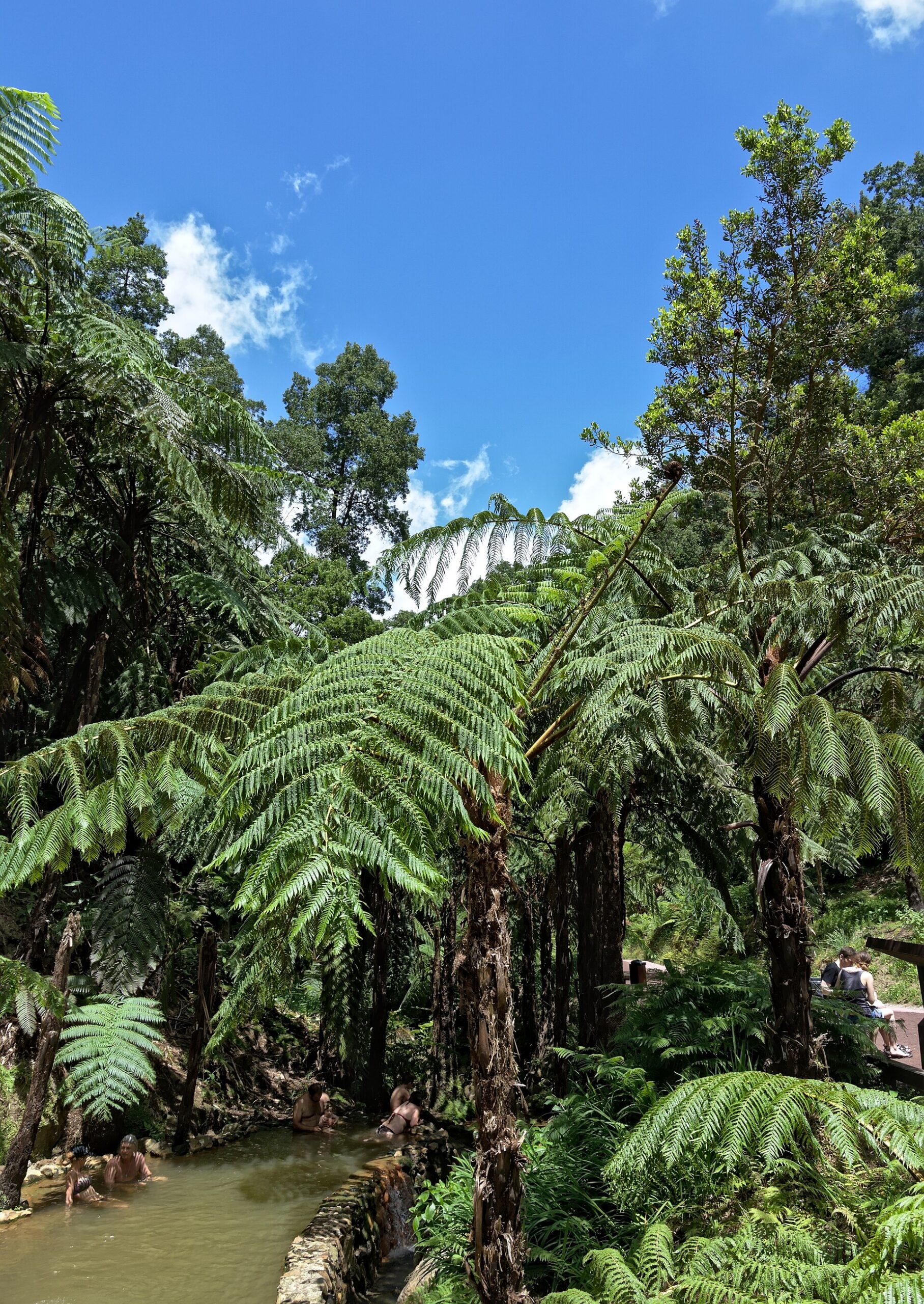Termas das Caldeiras de Ribeira Grande en São Miguel, Azores