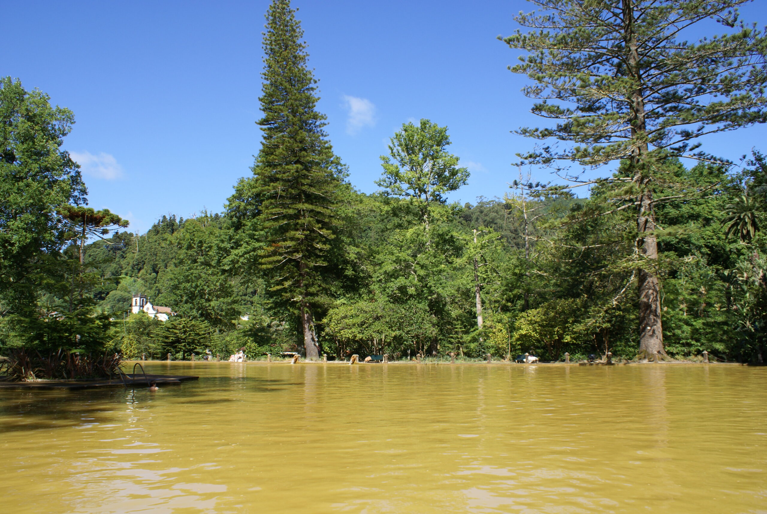 Iron-rich thermal pool at Terra Nostra Park in Furnas