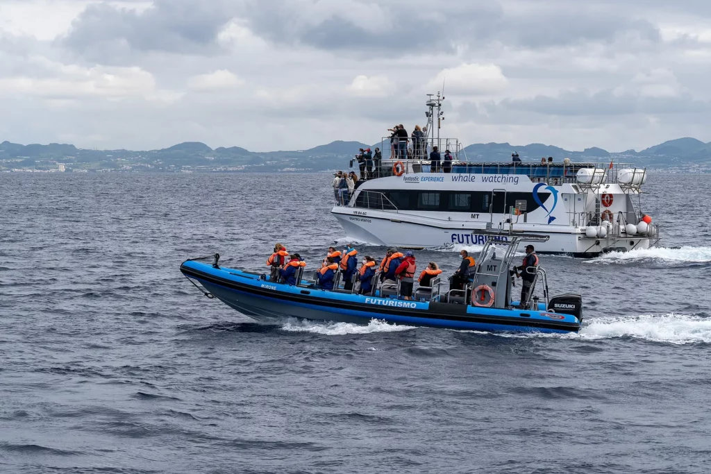 Dos barcos de avistamiento de ballenas frente a São Miguel, Azores