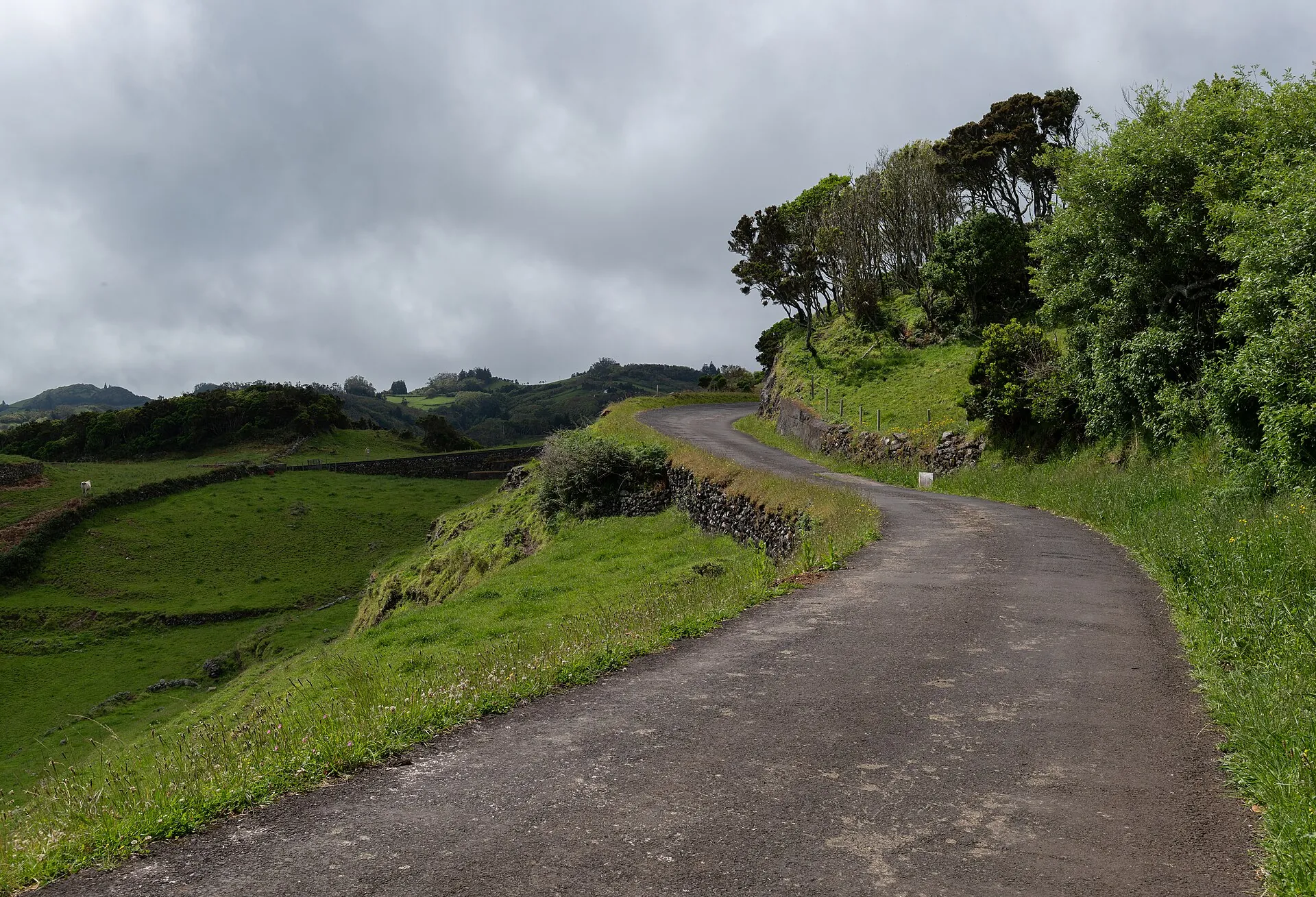 Carretera rural estrecha entre pastos en Santa Maria, Azores