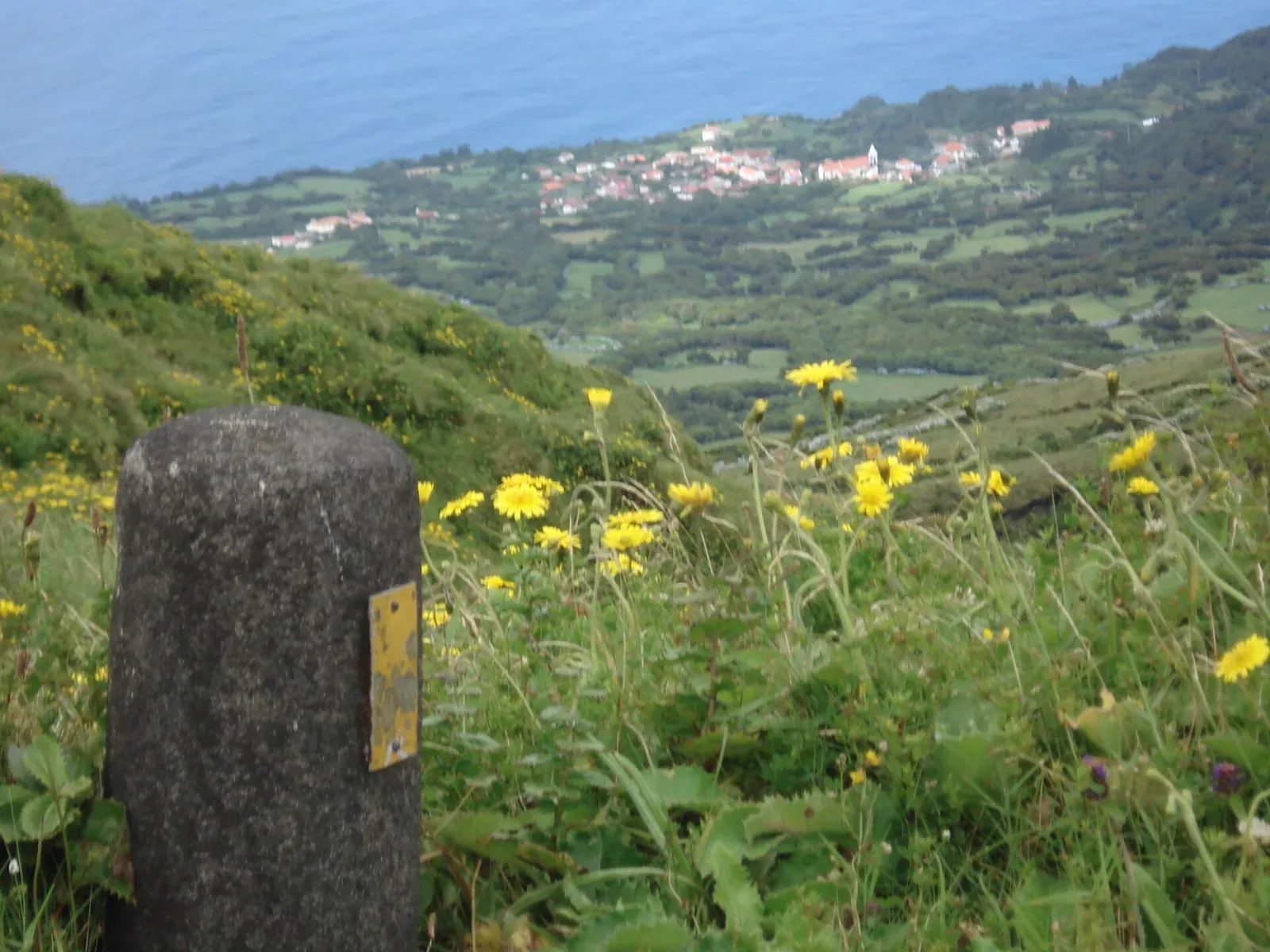 Urzelina and its coastline viewed from a hillside on São Jorge